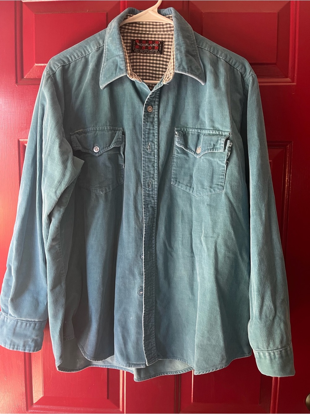 Woodland Teal Corduroy Button-Down Shirt